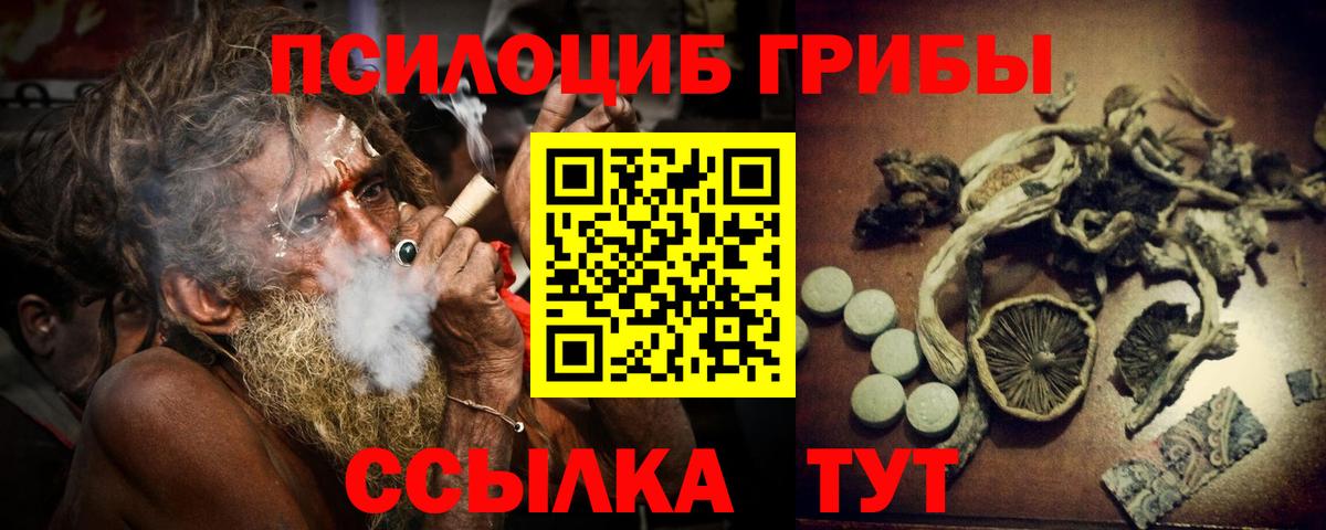 Галлюциногенные грибы прущие грибы Карачаевск