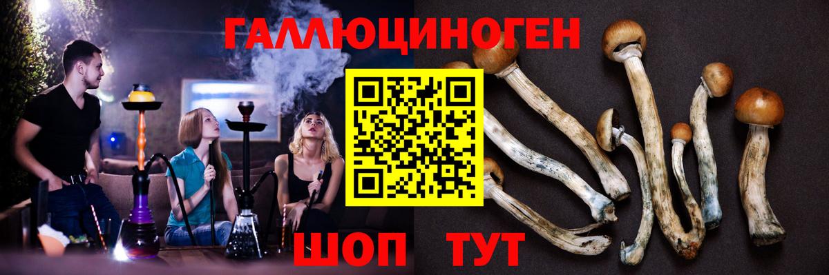 ГАШИШ Карачаевск