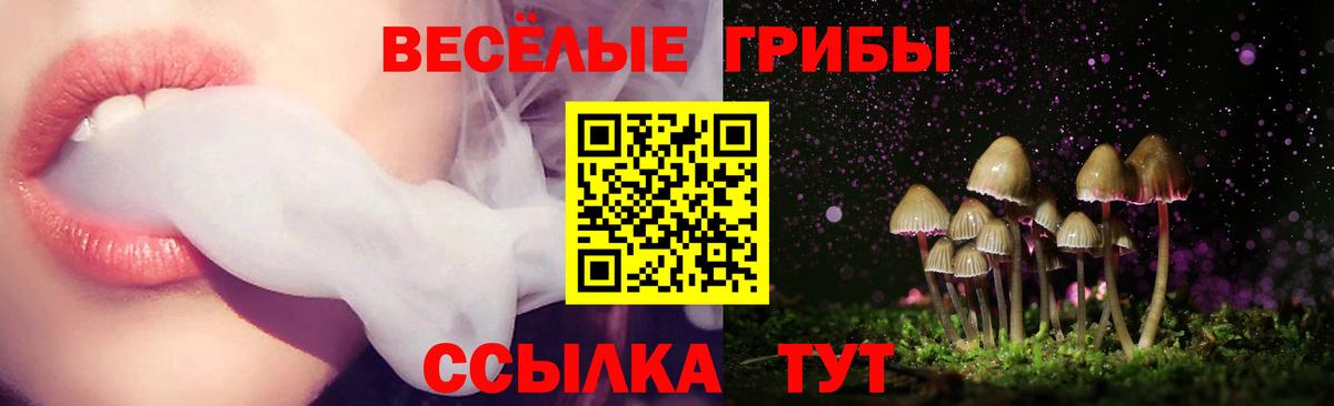 Галлюциногенные грибы Magic Shrooms  Галлюциногенные грибы мухоморы  Карачаевск  Вход с VPN 